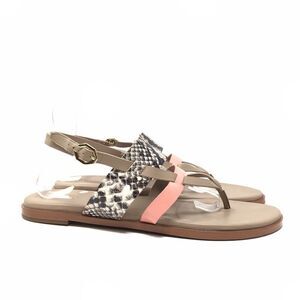 Cole Haan Tan Snakeskin Leather Finley Grand Thong Flat Sandals Size 11 Buckle